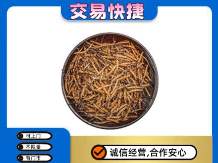 石家庄市辛集礼品回收虫草.jpg