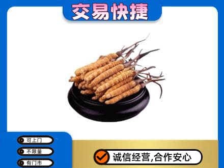 石家庄市辛集礼品回收散虫草.jpg